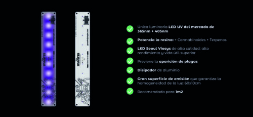 LED The Mantis Ultravioleta The Jungle - Imagen 5