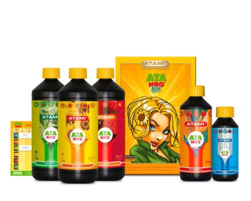 ATA NRG Box pack abonos Atami