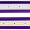 led zeus 1000w CO2 lumatek detalle