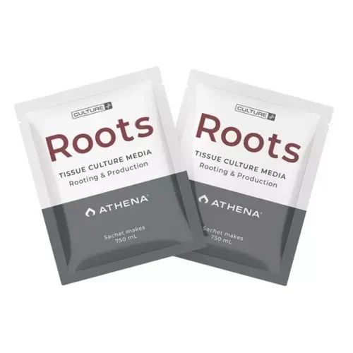 Athena Roots - medio de cultivo in vitro - Imagen 2