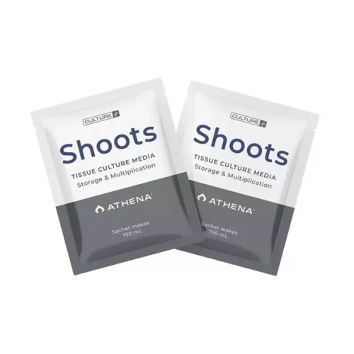 Athena Shoots - medio de cultivo in vitro - Imagen 2