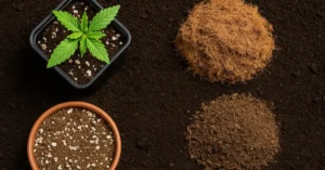 sustrato para cultivar tierra coco super soil